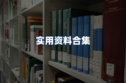 实用PDF资料展示